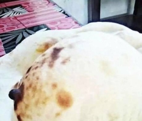 elitebbwplus beautiful model archive