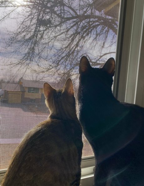 nikkiinatural porn model pictures