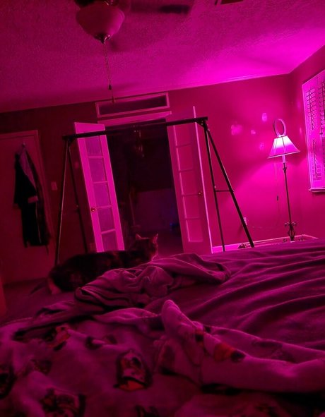 elainagregory Profile pic