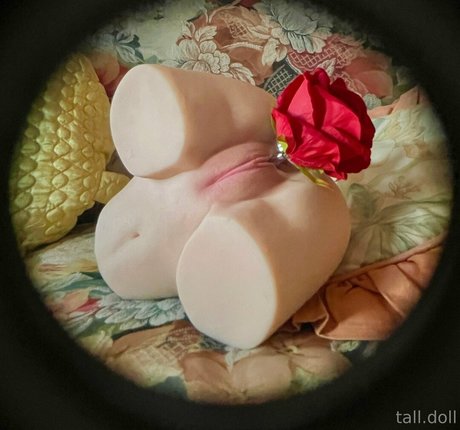 tall doll hot pornstar galleries