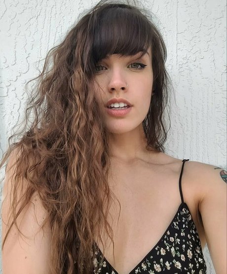 bundaddy pornstar top archive