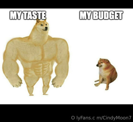 cindymoon7 perfect actress photo