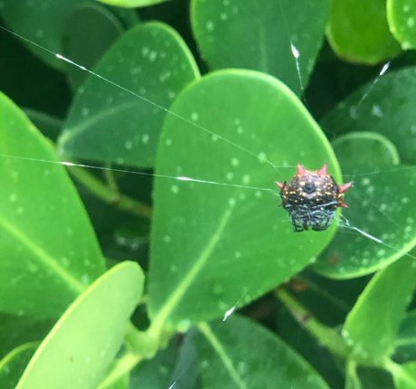 cindymoon7 best model images