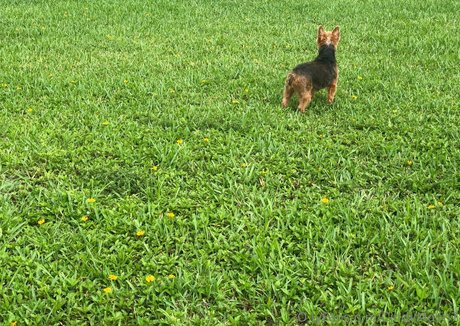 cindymoon7 nice pornstar image