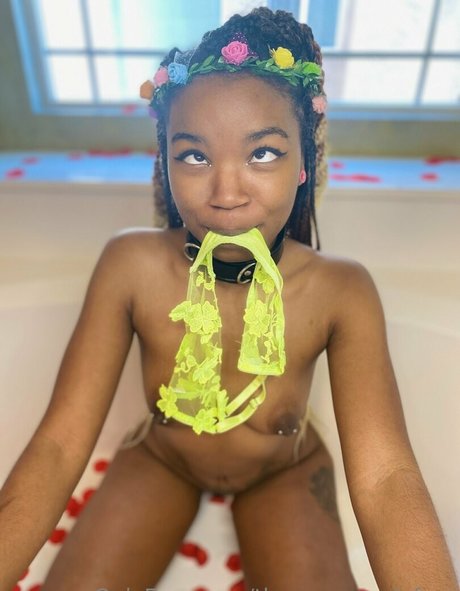 thenovapandafree top pornstar picture