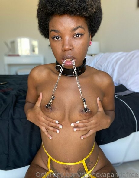 thenovapandafree star hd photo