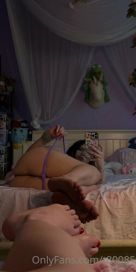 vanessinator Profile pic