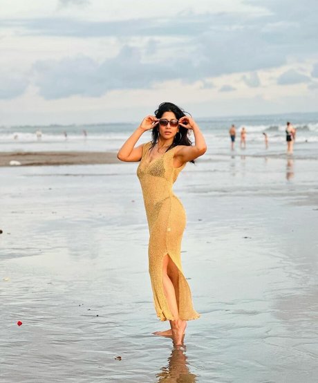 Reshmin Chowdhury star pornographic pics