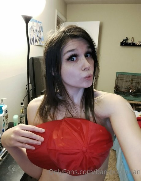 pandavision hd model photo