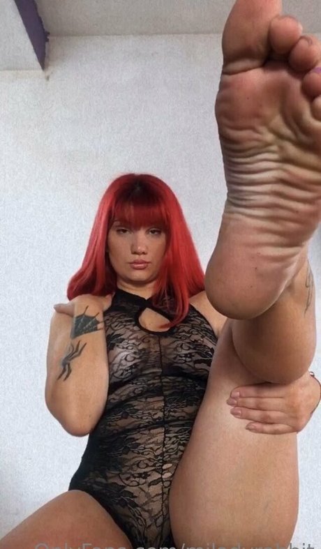 miladyrabbit pornstar art archive