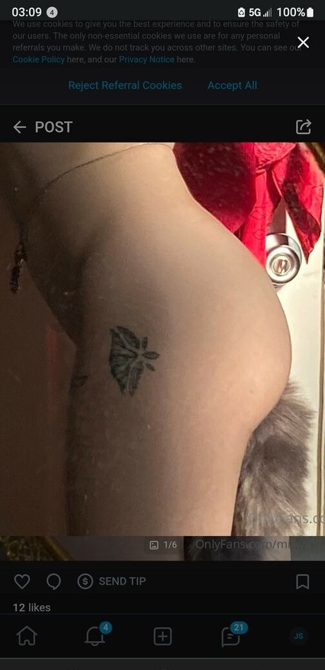 milkw0lf xxx pornstar pics