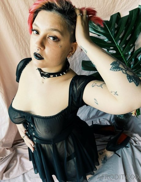 afrodit4x xxx star galleries