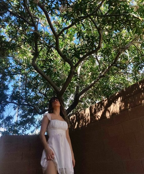 Lemonkiwi nice actress gallery