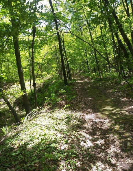 devilishdaisy nude star picture