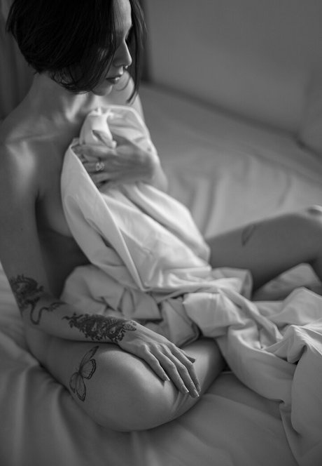 Gatas De Goiania star hd images