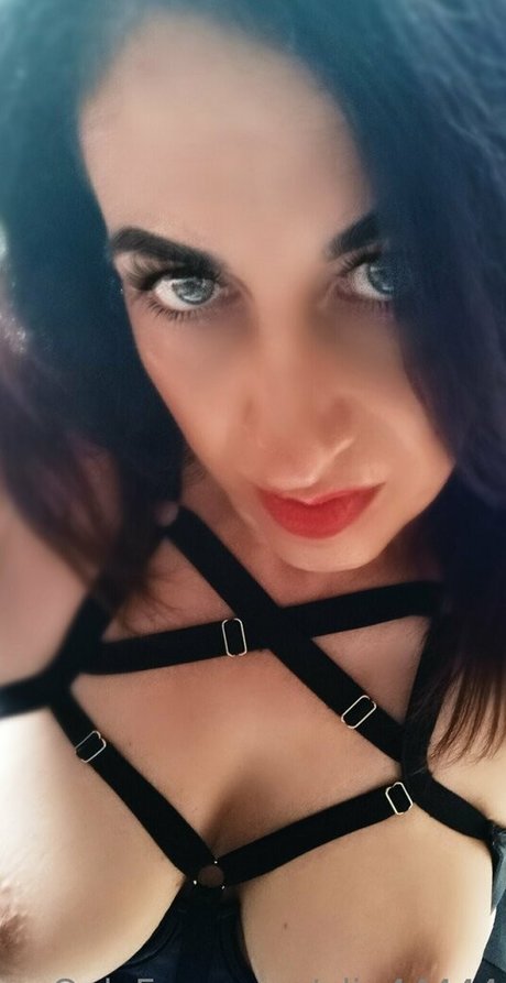 alig44444 hd model archive