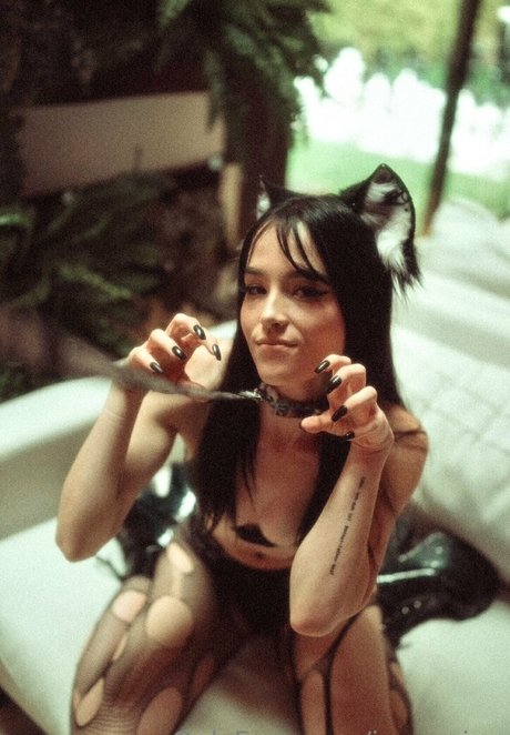 ivyxquinn star hd archive