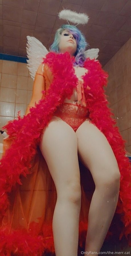 the merr cat pornstar erotic gallery