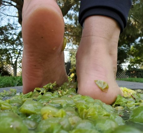 mistysunshine00 xxx star archive