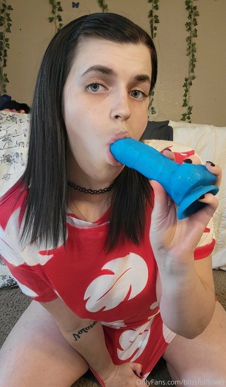 blisscatalog star hot pics