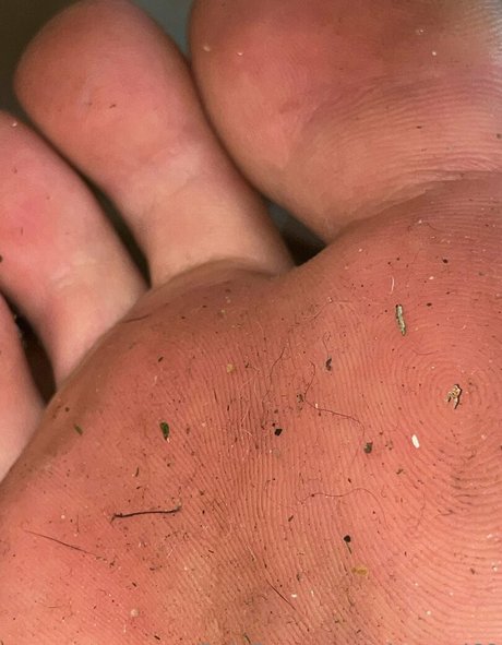 gigagod69 high quality star pics