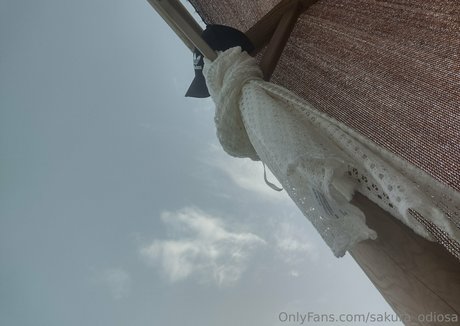 sakura odiosa perfect actress galleries