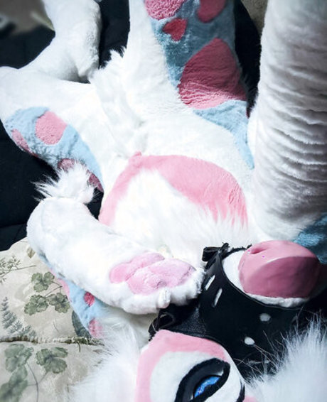 Murrsuit model top photo