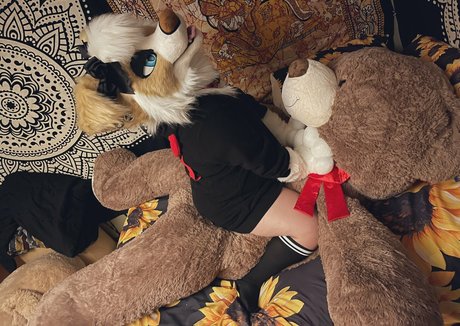 Murrsuit star pic