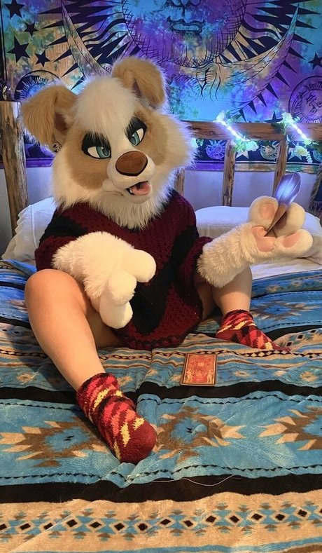 Murrsuit xxx actress gallery