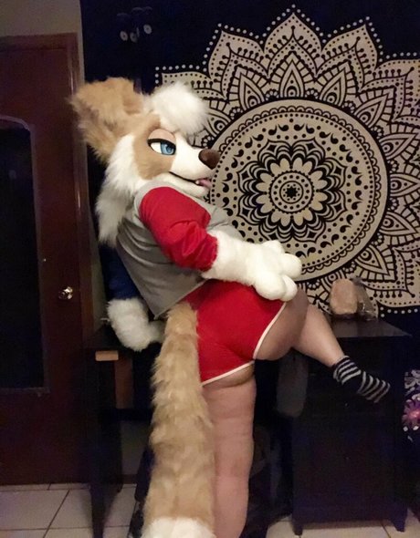 Murrsuit Profile pic