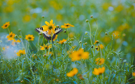 spikezombie free actress galleries