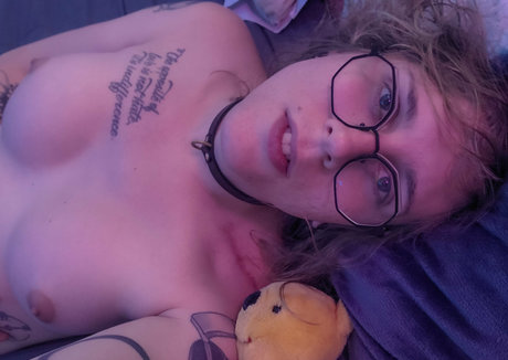 brainwashedpet pornstar adult gallery