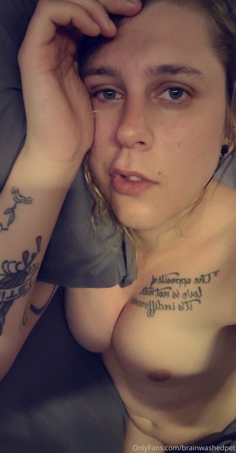 brainwashedpet perfect star picture