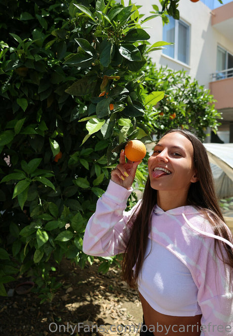 babycarriefree sex pornstar photo