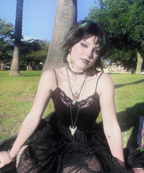 Paris Sun star adult img