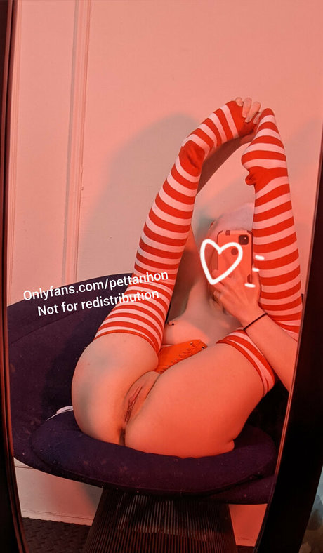 pettanhon nice model archive