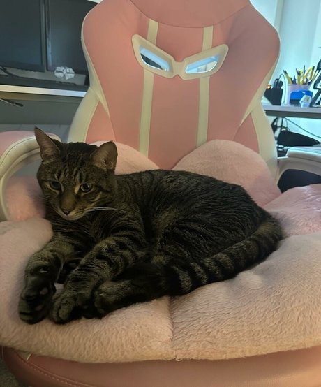 torylovexxx pornstar naked photos