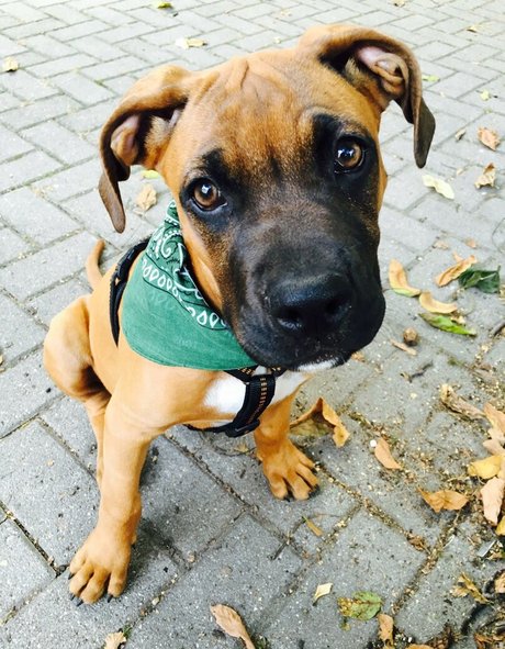 Bibis secrets Profile pic