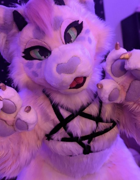 kinkypinkkitty top star pictures