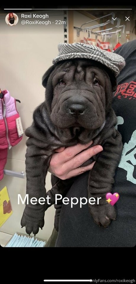 roxikeogh porn actress pictures