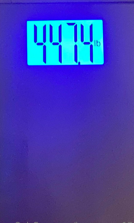 honeycow 17 model sexy photos