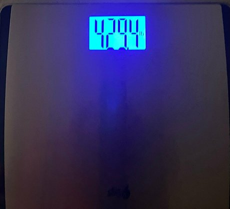 honeycow 17 naked actress image