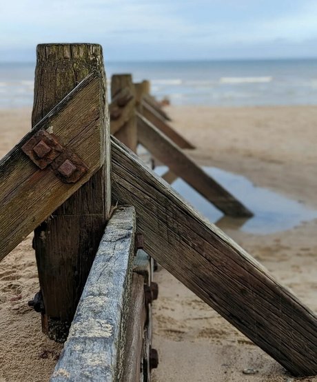 constanceflame adult actress archive