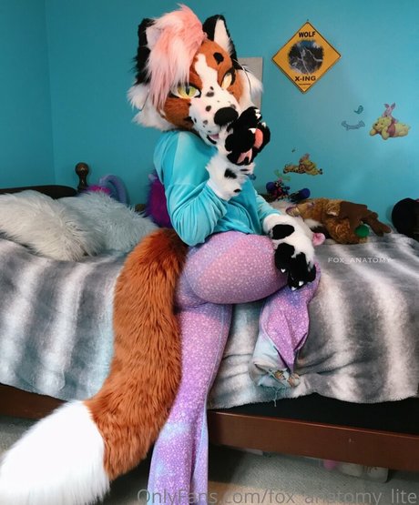 fox anatomy lite model free picture