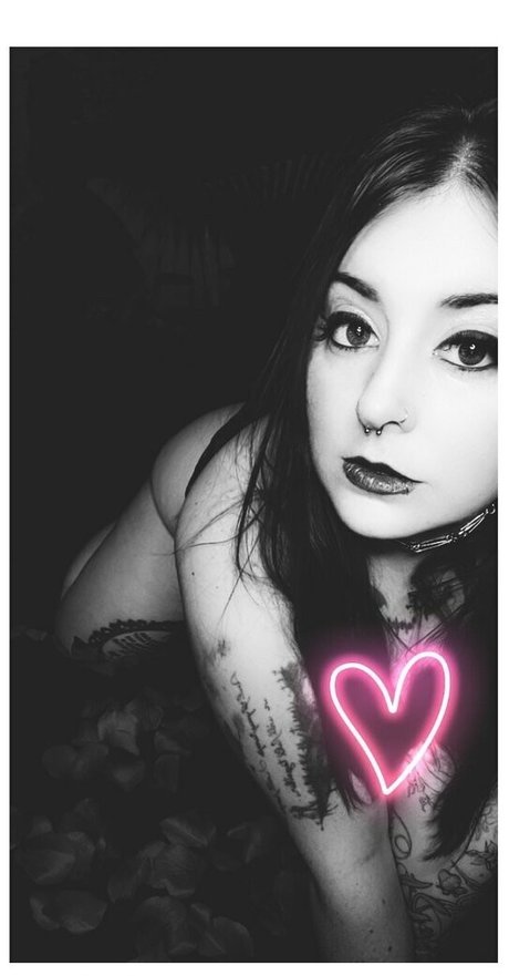 paradox 5683 top pornstar img