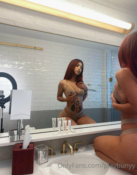 playbunyy model art image