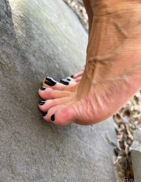 flirtypaws star best photo