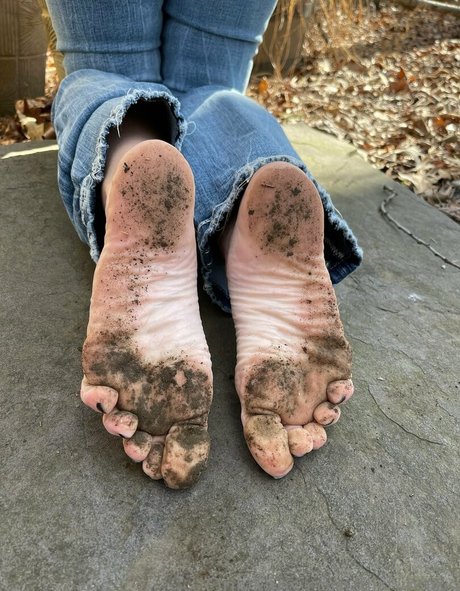 flirtypaws star beautiful img