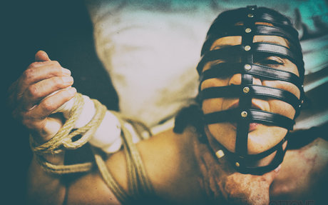 spiderplant best model images