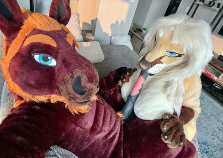 angel pups star hot picture